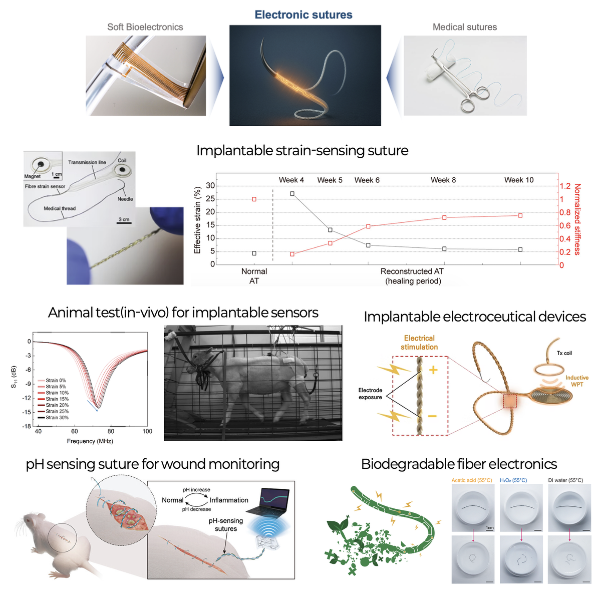 Healthcare & Implantable Bioelectronics